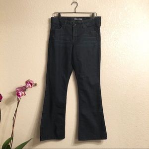 Torrid Sources of Wisdom Dark Wash Jeans Size 14